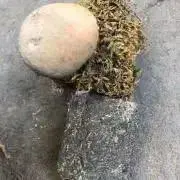 ふつうでおだやかの画像