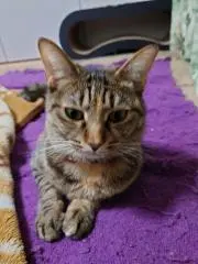 kikiqoo9