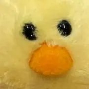 こうの画像