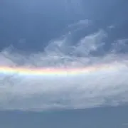 カミカゼ