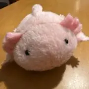 みえきちの画像