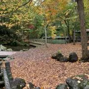 遠藤の画像