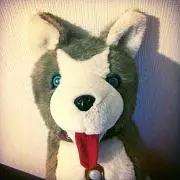 ペロちゃん。❤︎発送出来ません❤︎
