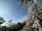 テト