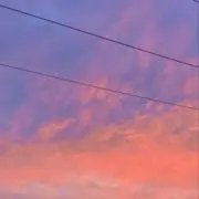 Laraの画像
