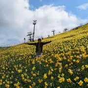 かなの画像