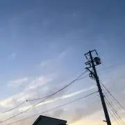 はちみつくまさんの画像