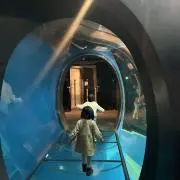 ♥はなちゃんママの画像