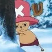 ぽぽっぽの画像