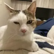 釣りバカ純平