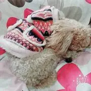 なつん