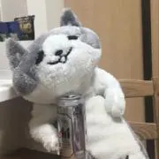 みんみんの画像