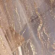 じょんの画像