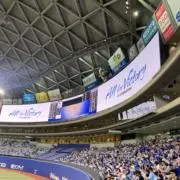 さかまの画像