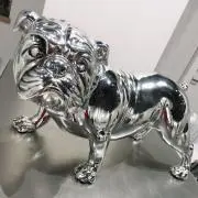 ぴちぴっちの画像