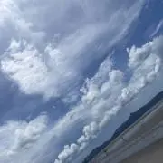 ゆんの画像