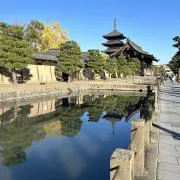 ゆめ 値下げ可能！の画像