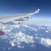 ちーこ