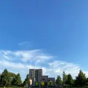 おくらの画像