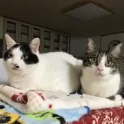 グリーンポートの画像