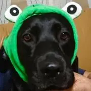 ミツコの画像