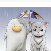 こうの画像