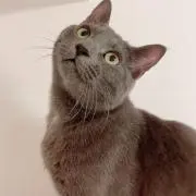 knk
