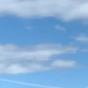 あんさんの画像