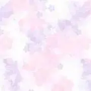 ♡基本 月曜日の発送となります。の画像