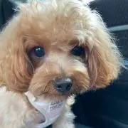 くすくす☺︎