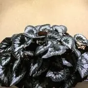 KOUICHI.Mの画像
