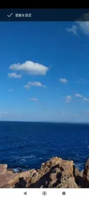 海水魚の画像
