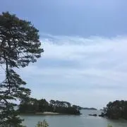 さすけの画像