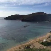 まつの画像