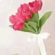 Image of ちゅーりっぷ