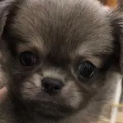 のんピース
