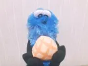 まめの画像