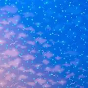 まみの画像