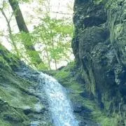 うめぼし餅の画像