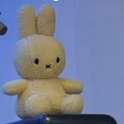 がりこの画像