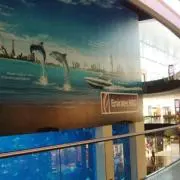 Anfaの画像