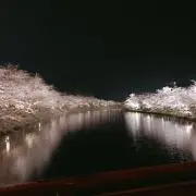 はまちゃん