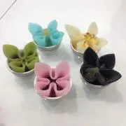 アキの画像