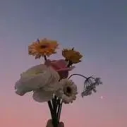 ナナチの画像