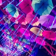 ぼん《プロフ必読》の画像