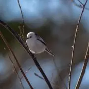 n¨̮❤︎の画像