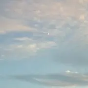 はち