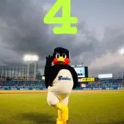 ツバクロウ