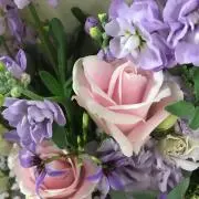 tmtの画像