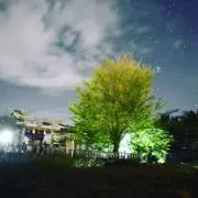 やまだ